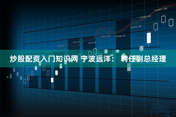 炒股配资入门知识网 宁波远洋： 聘任副总经理