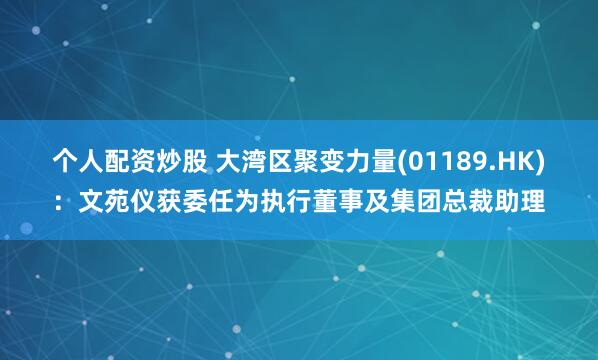 个人配资炒股 大湾区聚变力量(01189.HK)：文苑仪获委任为执行董事及集团总裁助理